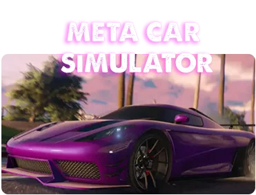 Meta Car Simulator